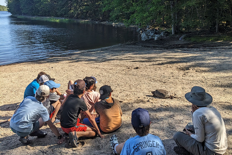 A group of young people sit and watch a turtle.