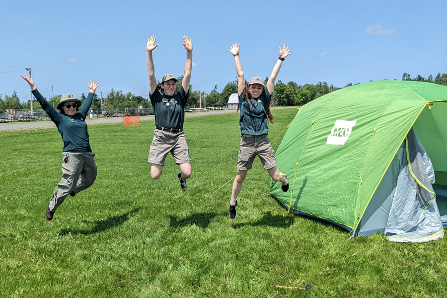 Three staff members jump next to a tent.