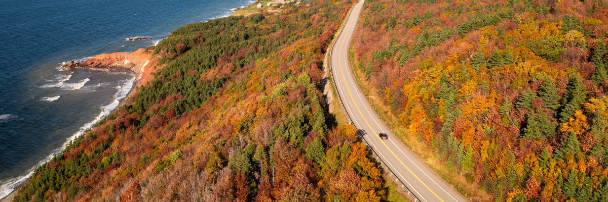 Car travels along the two-lane road through forest of fall colours next to the ocean on the Cabot Trail.