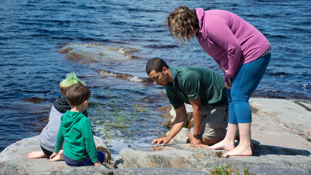 Visitors experiencing the petroglyphs.