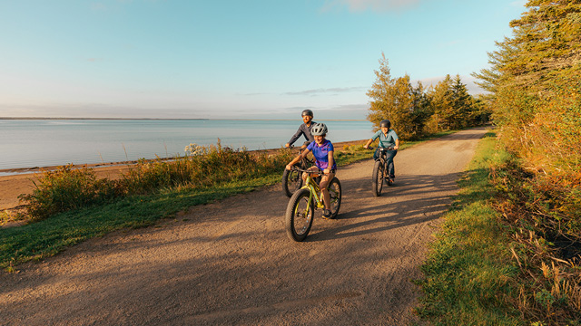 Visitors bike along a dirt path along the water at sunset.