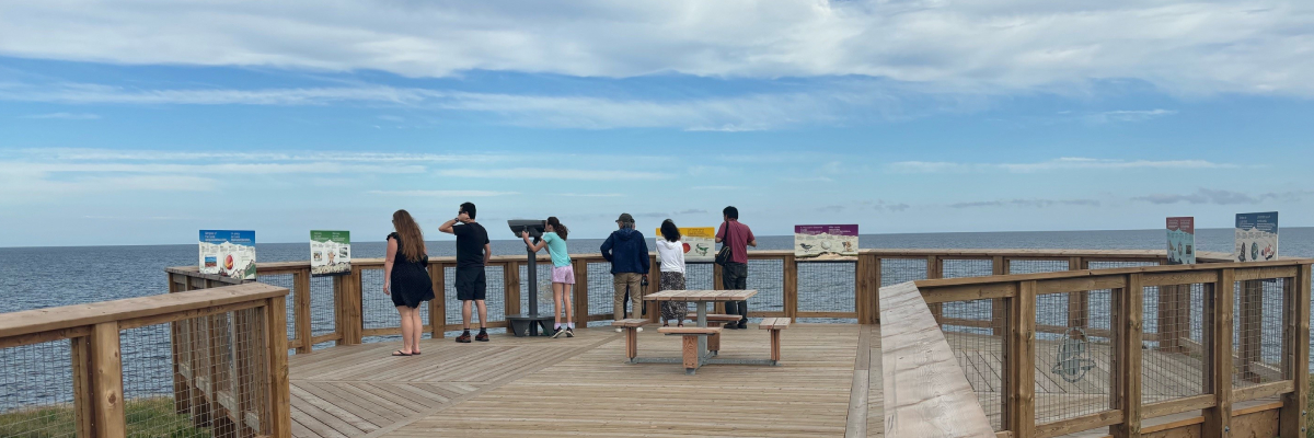 Des personnes observent l’océan à partir du belvédère Oceanview au parc national de l’Île-du-Prince-Édouard.