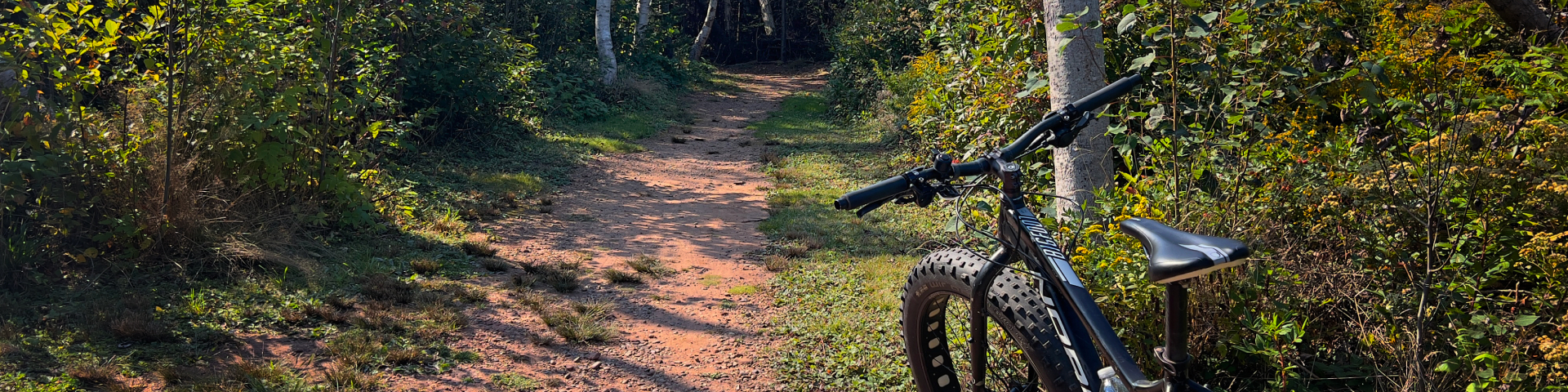 Un vélo en bordure d'un sentier forestier sur l'île Robinsons dans le parc national de l’Île-du-Prince-Édouard.