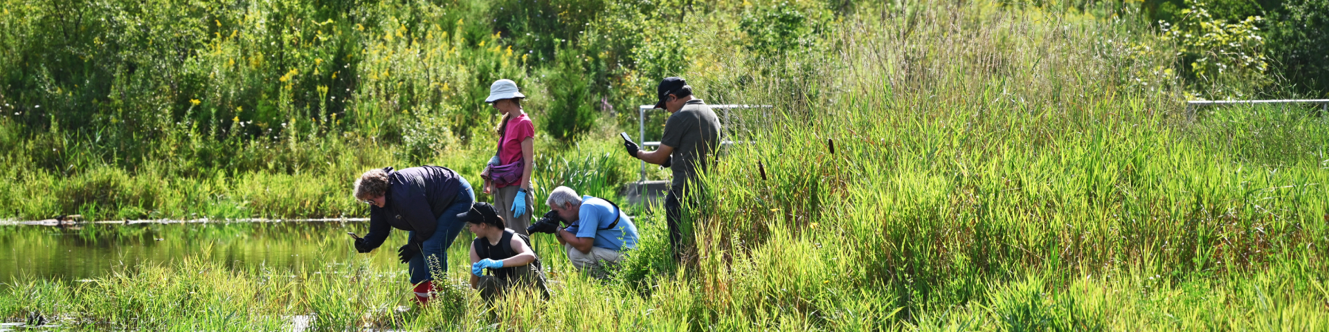 Five people doing field work on the shore of a lake.