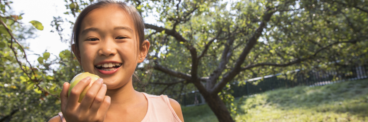 Une jeune fille mange une pomme dans un verger
