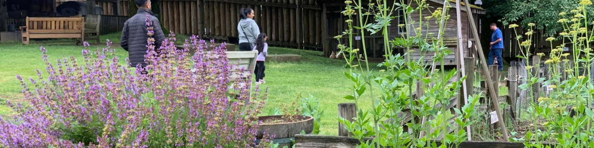 Fort Langley National Historic Site’s heritage garden.