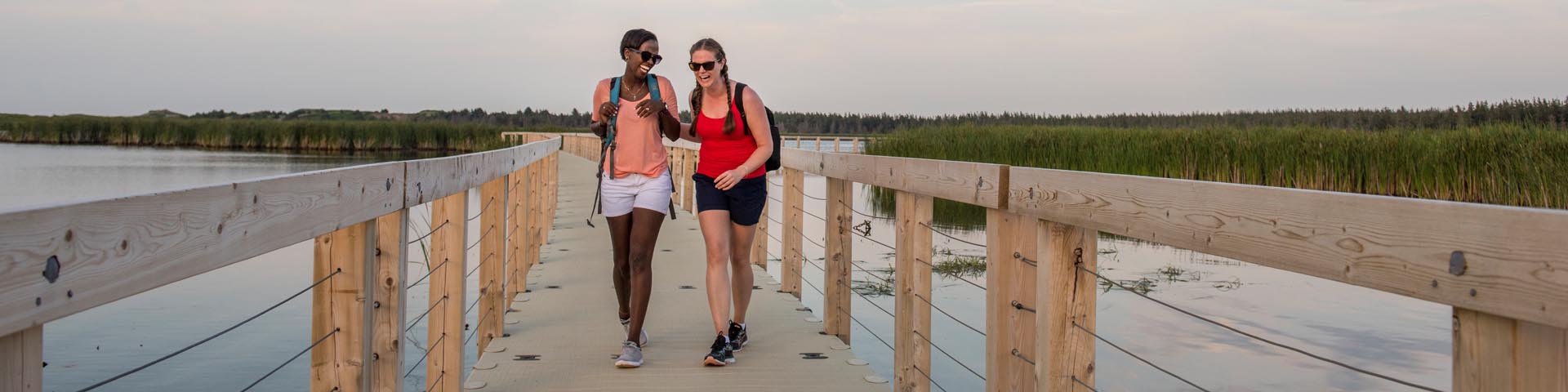 Visitors walking on the floating boardwalk over Bowley Pond on the Greenwich Dunes Trail at Prince Edward Island National Park on a summer evening.