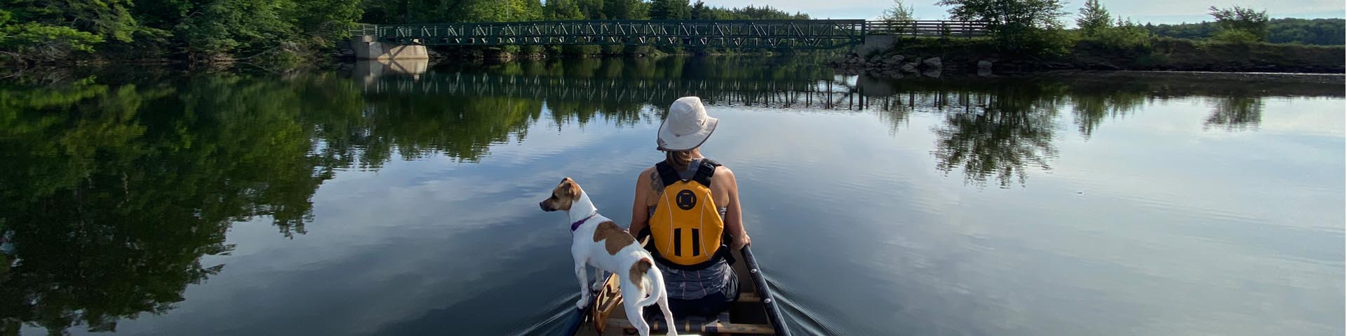 A woman and a dog canoeing on a river. Their backs are facing the camera. Trees surround them and in front of them, there is a footbridge.