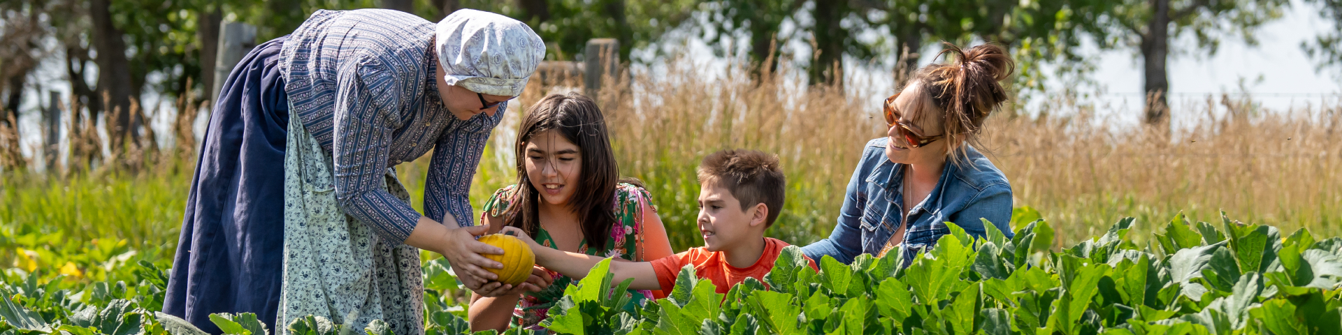 Un membre du personnel de Parcs Canada avec trois visiteurs cueillant des citrouilles dans le jardin du lieu historique national du Homestead-Motherwell.