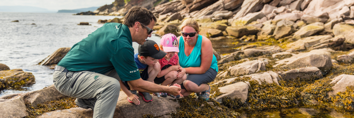Une famille et un guide observent la faune aquatique des cuvettes de marée de la plage de Petit-Gaspé.