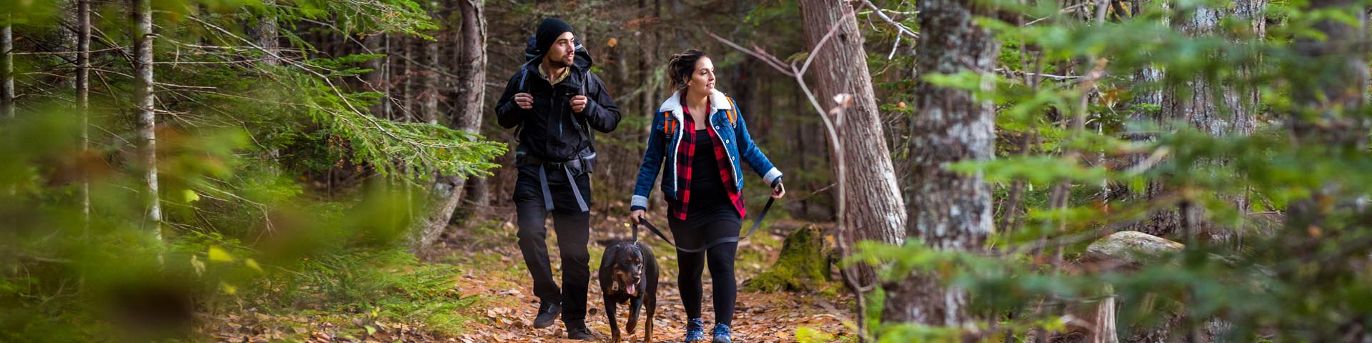 Visitors walking with their dog along the Kouchibouguac River Trail, Kouchibouguac National Park